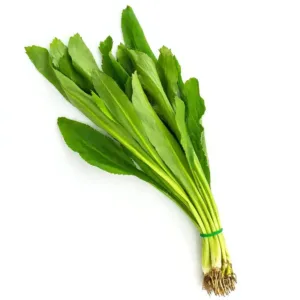 Tajski peteršilj 100g