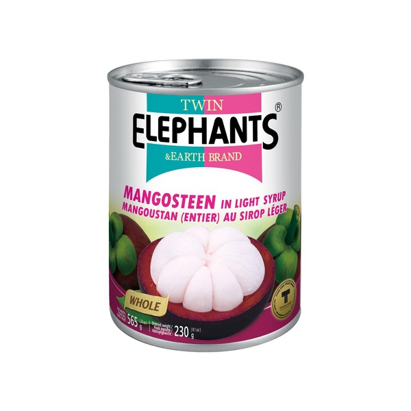 11945 Mangosteen in syrup 565g Twin elephants - Image 1