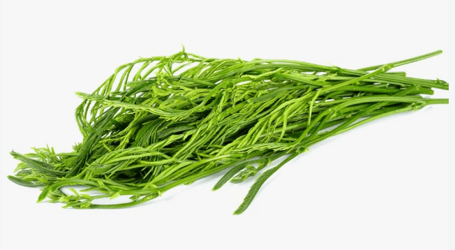 Fresh Cha om 100g Sveži cha om 100g - slika 1