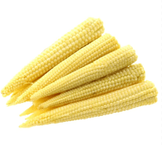 Fresh young baby corn 100g Mlada koruza 100g - slika 1