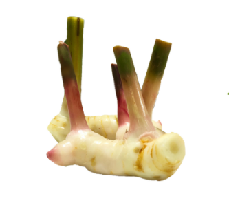 Galangal Galangal 100g - Image 1